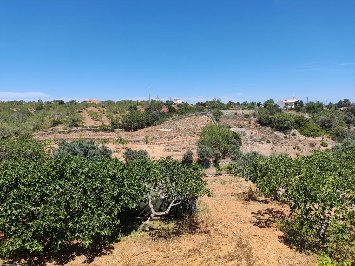Casa Azul Lägenhet Albufeira Exteriör bild